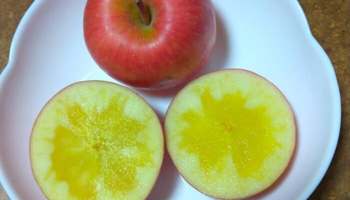 家庭菜園は暇な時間を