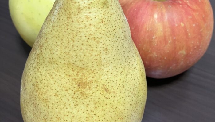 青森から送ってもらっ