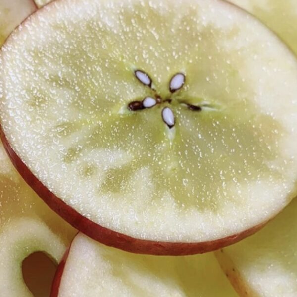 冬になると毎年青森か グルメ